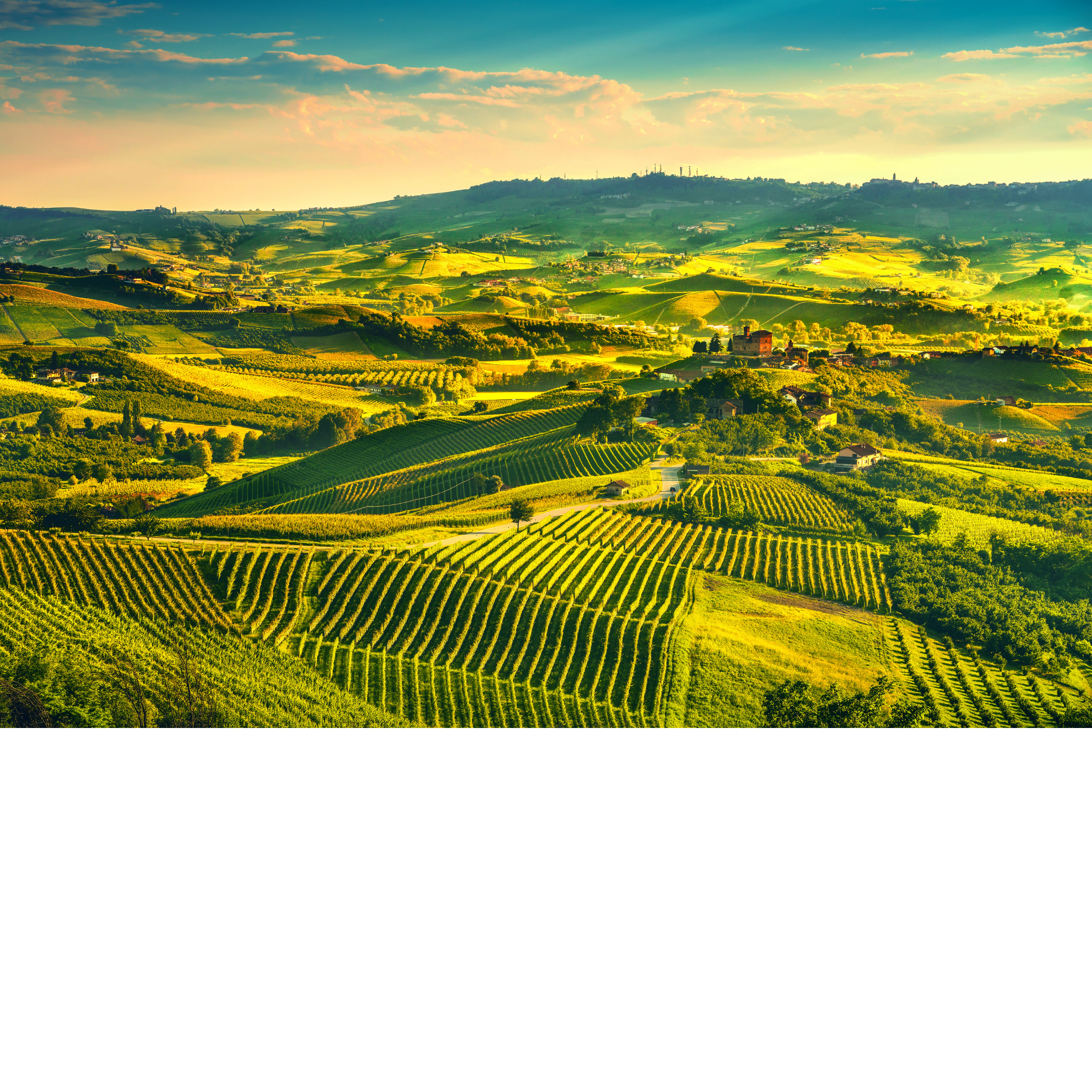 Luxury concierge services: private visits to the best châteaux & wineries, private dining, fine wines_Tuscany